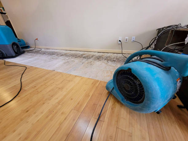 Professional Flood Damage Cleanup technician working in Conway, SC